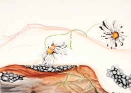 Daisy and Stone by Annabel V Sclippa